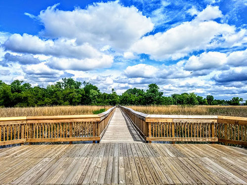 Minnesota Valley Wildlife Refuge Wooden Bridge